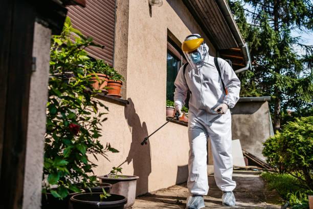 Best Affordable Pest Control Services  in King Arthur Park, MT