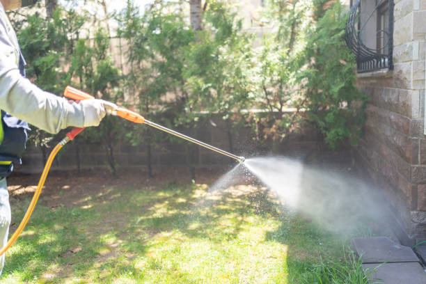 Best Exterminator Services  in King Arthur Park, MT